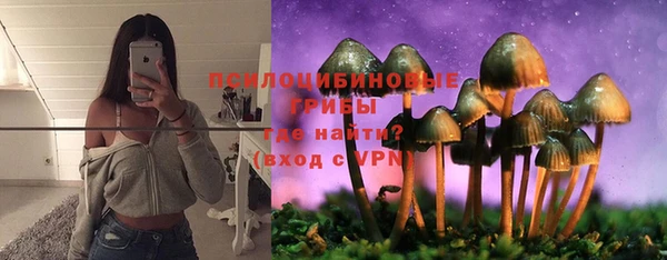 твердый Елабуга
