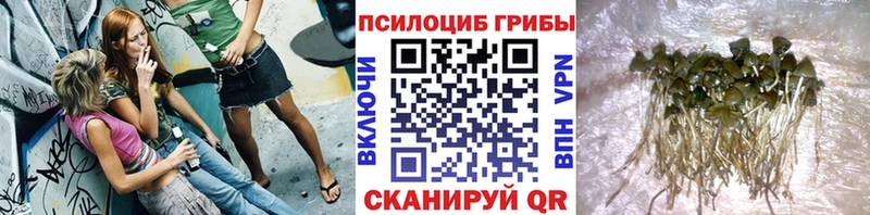Галлюциногенные грибы ЛСД Корсаков